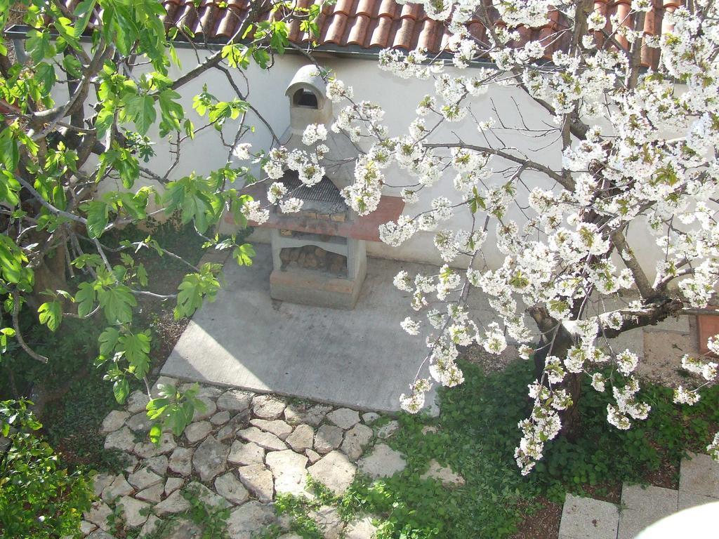 Villa Dalmatia ザダル エクステリア 写真